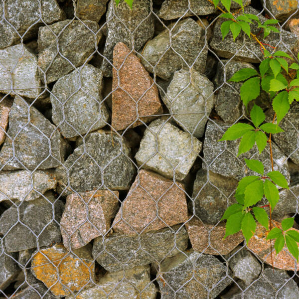 Gabion, texture, background. Wall made of natural rocks with green leaves and metal fences. Landscaping. Fencing and terracing