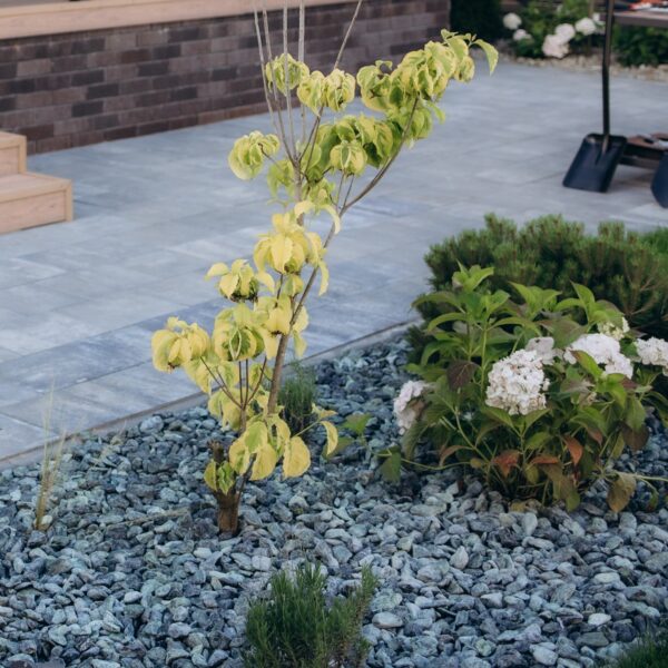 the gardener uses a rake to level decorative stones